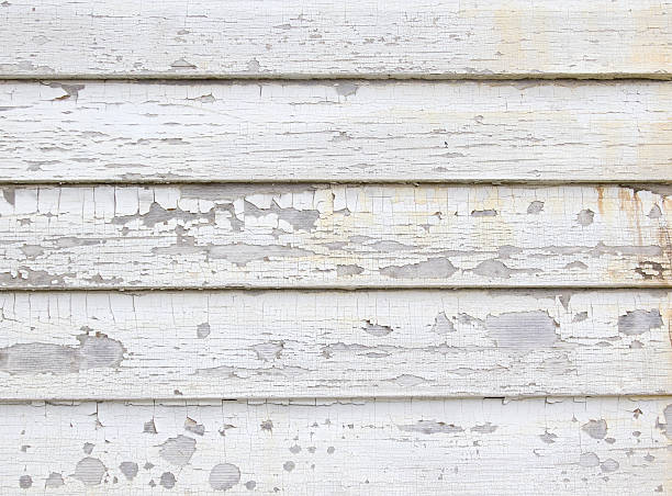 Best Moving and Downsizing Cleanouts  in Flint, MI