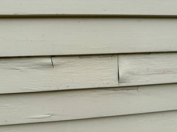 Best Shed Removal  in Flint, MI